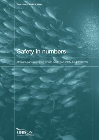 Safety in Numbers Guide