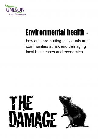 The Damage - cuts in environmental health services