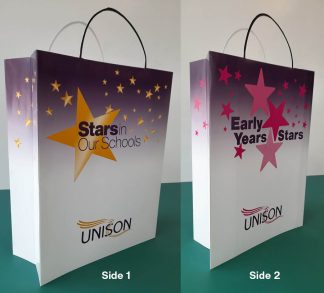 Stars in Our Schools/Early Years Stars - paper bags