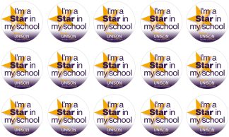 I’m a Star In My School stickers