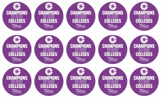 Champions in Our Colleges stickers