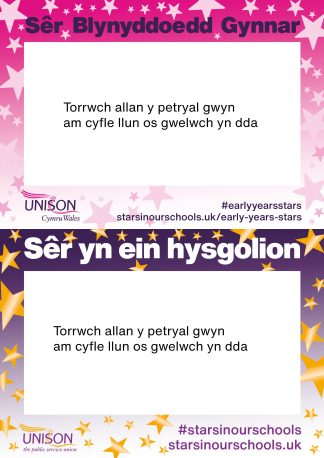 Stars in Our Schools/Early Years Stars – Welsh A3 selfie frame