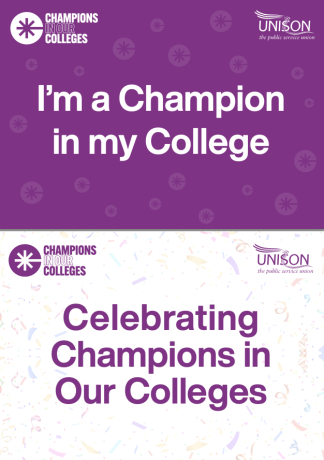 Champions in Our Colleges - photo boards