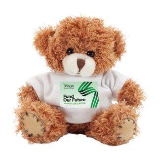 HE 'Fund our future' bear